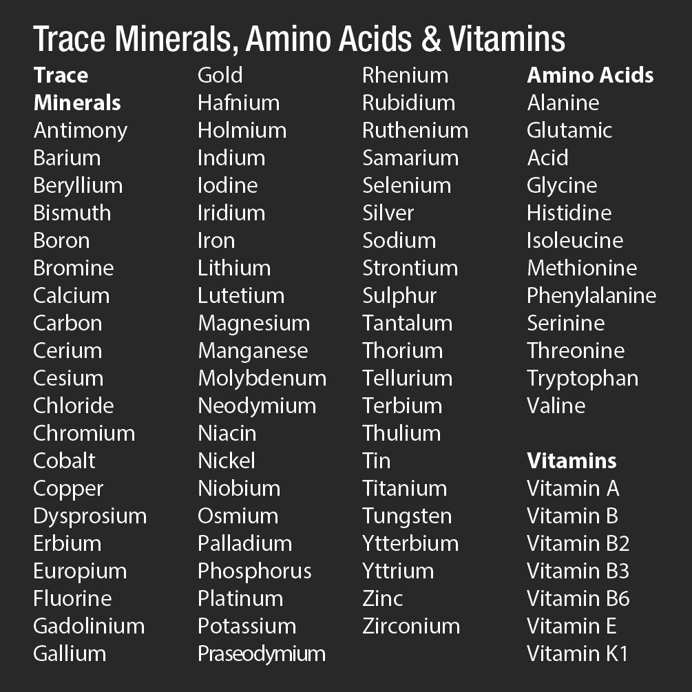 90 Day Detox & Recharge