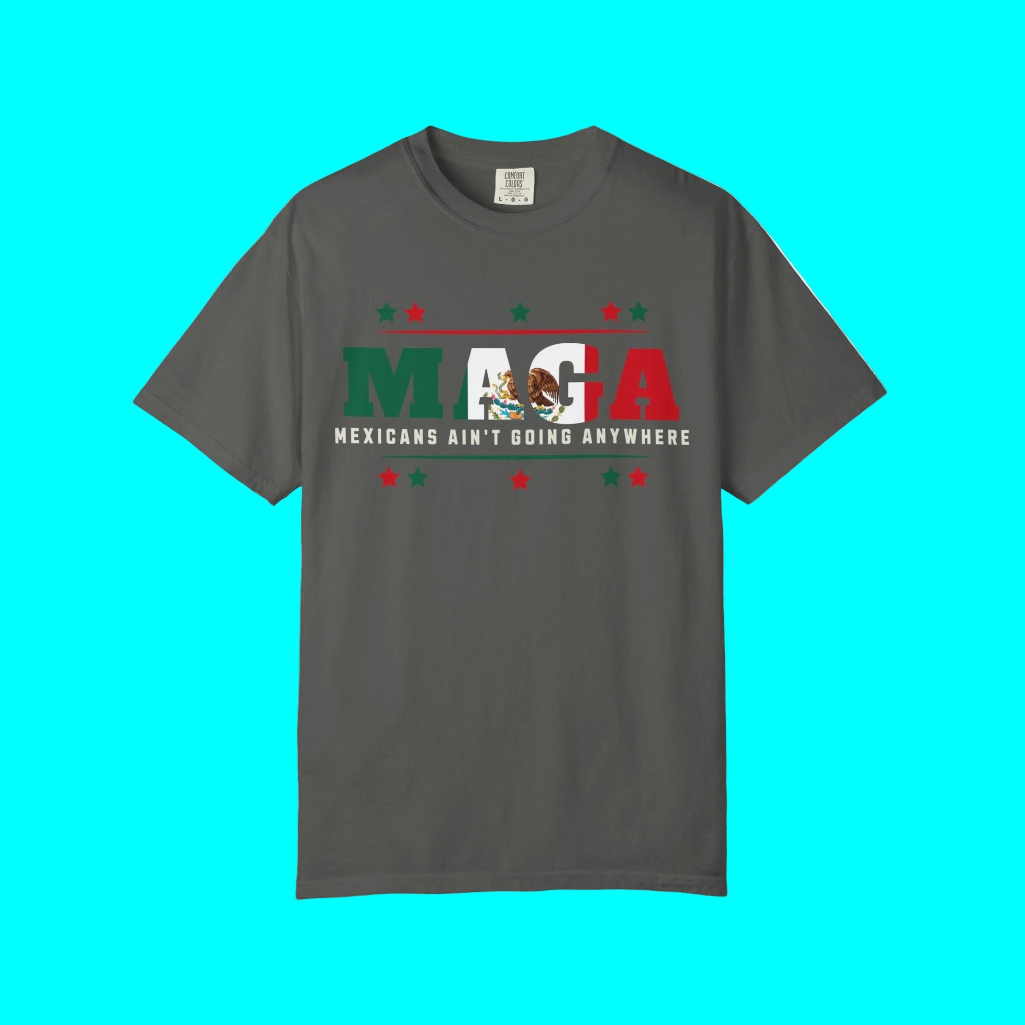 Mexicans Ain't Going Anywhere T-shirt | Latino Funny Viral Tees | 3 Colors