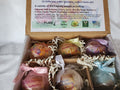 GIFT SET with 6 SAFARI Animals Bath Bombs with "Surprise" Jungle Animals inside